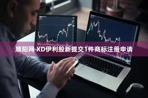 顺阳网 XD伊利股新提交1件商标注册申请