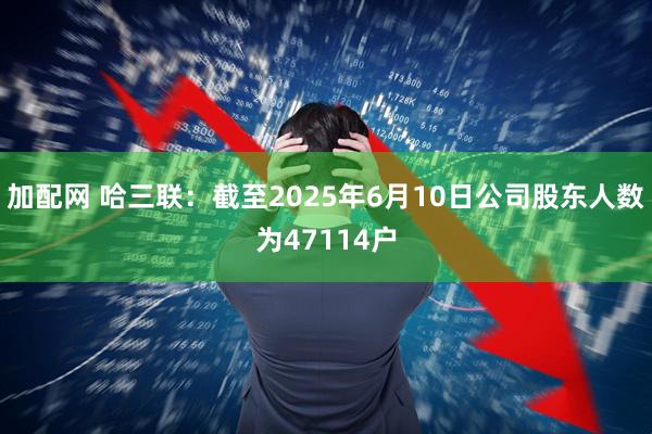 加配网 哈三联：截至2025年6月10日公司股东人数为47114户