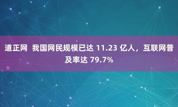 道正网  我国网民规模已达 11.23 亿人，互联网普及率达 79.7%