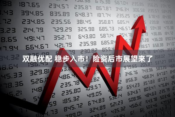双融优配 稳步入市！险资后市展望来了