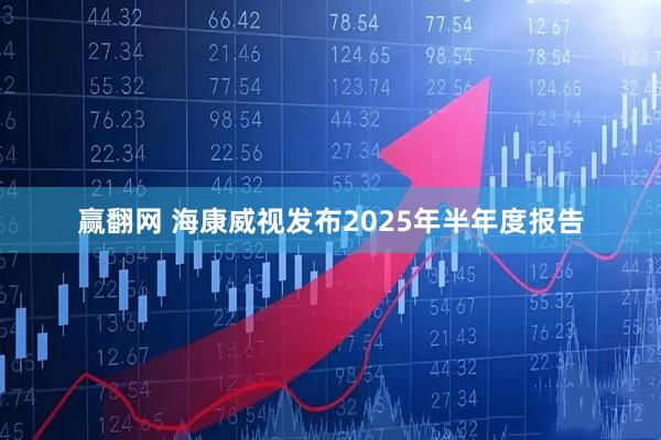 赢翻网 海康威视发布2025年半年度报告