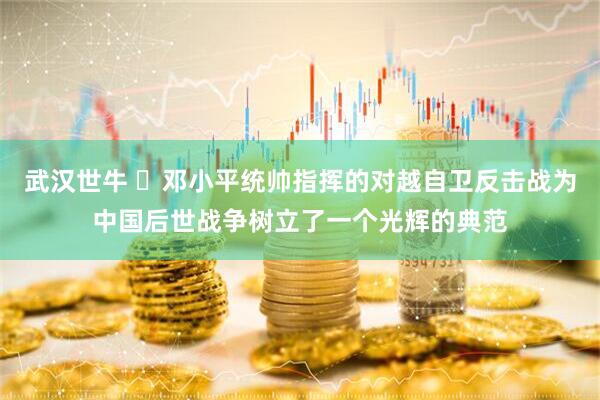 武汉世牛 ​邓小平统帅指挥的对越自卫反击战为中国后世战争树立了一个光辉的典范