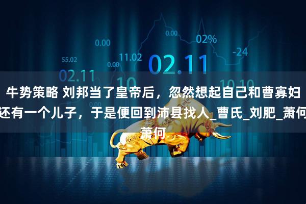 牛势策略 刘邦当了皇帝后，忽然想起自己和曹寡妇还有一个儿子，于是便回到沛县找人_曹氏_刘肥_萧何