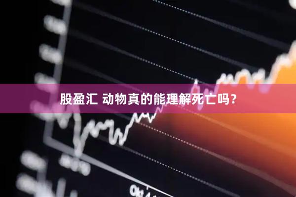 股盈汇 动物真的能理解死亡吗？