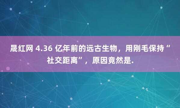 晟红网 4.36 亿年前的远古生物，用刚毛保持“社交距离”，原因竟然是.