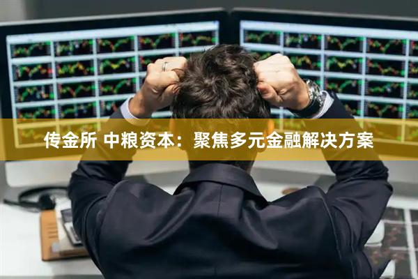 传金所 中粮资本：聚焦多元金融解决方案