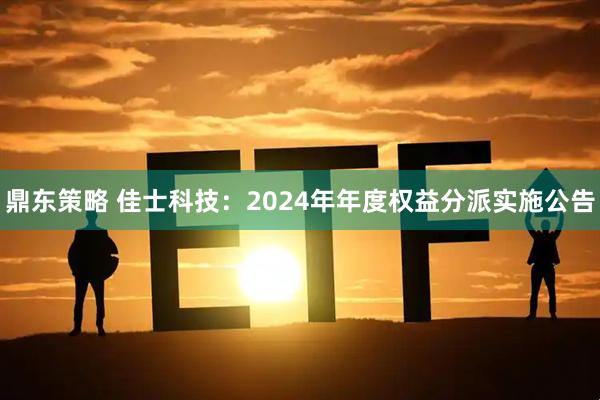 鼎东策略 佳士科技：2024年年度权益分派实施公告