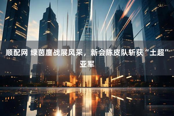 顺配网 绿茵鏖战展风采，新会陈皮队斩获“土超”亚军